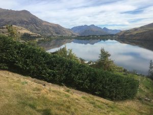 Lake Hayes - Queenstown Arborist RoyalTree