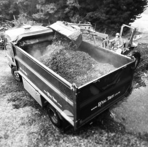 Buckets of mulch - Queenstown Arborist RoyalTree