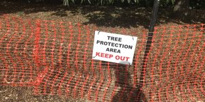 Tree Protection Area signage - Queenstown Arborist RoyalTree