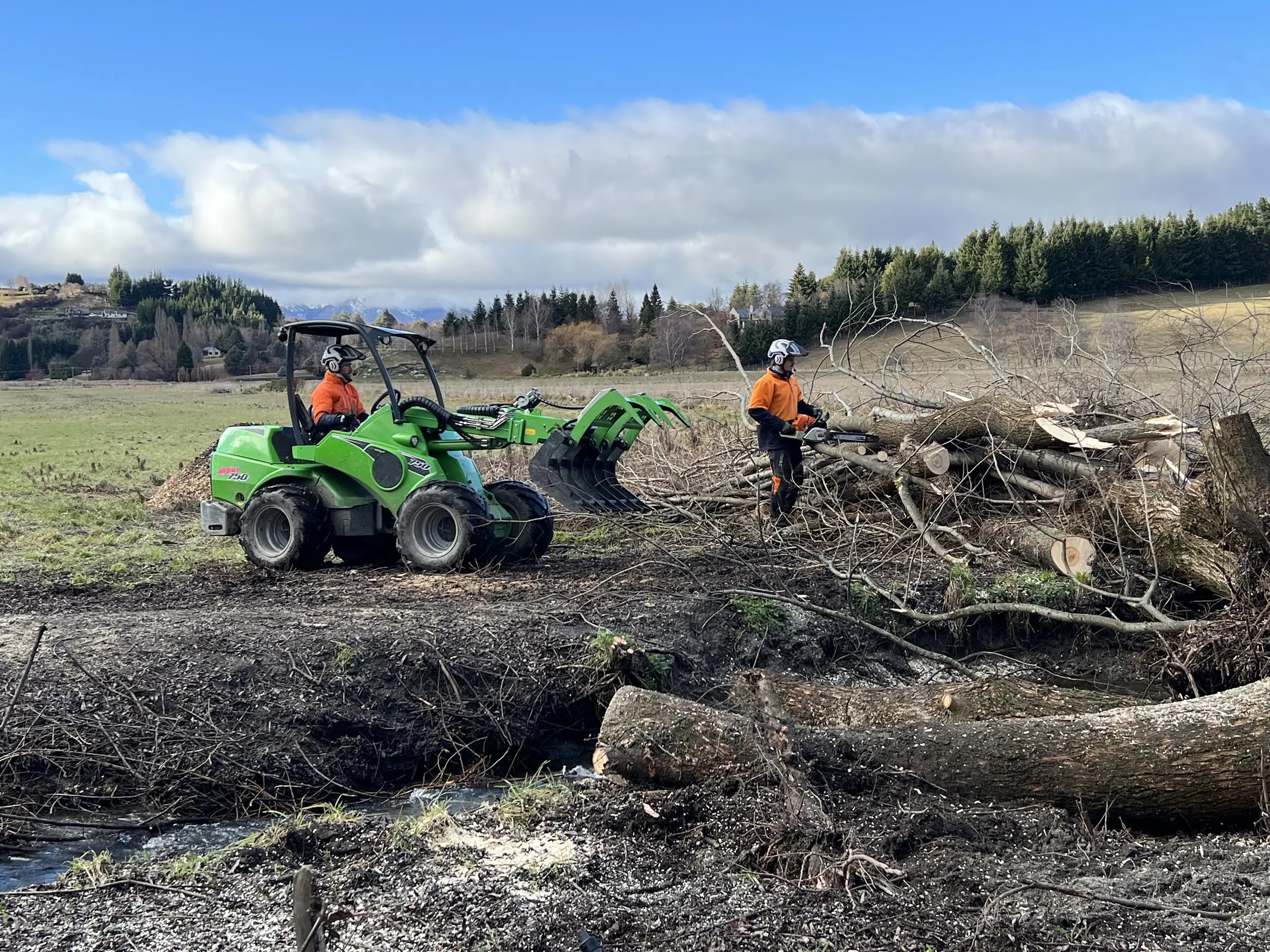 Tree Cutting Queenstown - RoyalTree