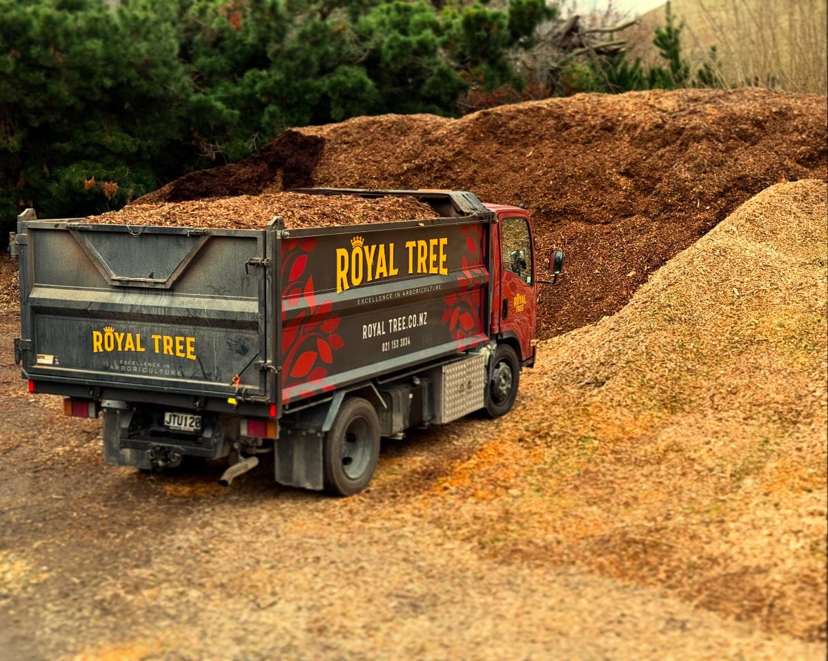 Royal Tree Mulch Queenstown 1200 - Royal Tree local Queenstown Arborist Tree Services