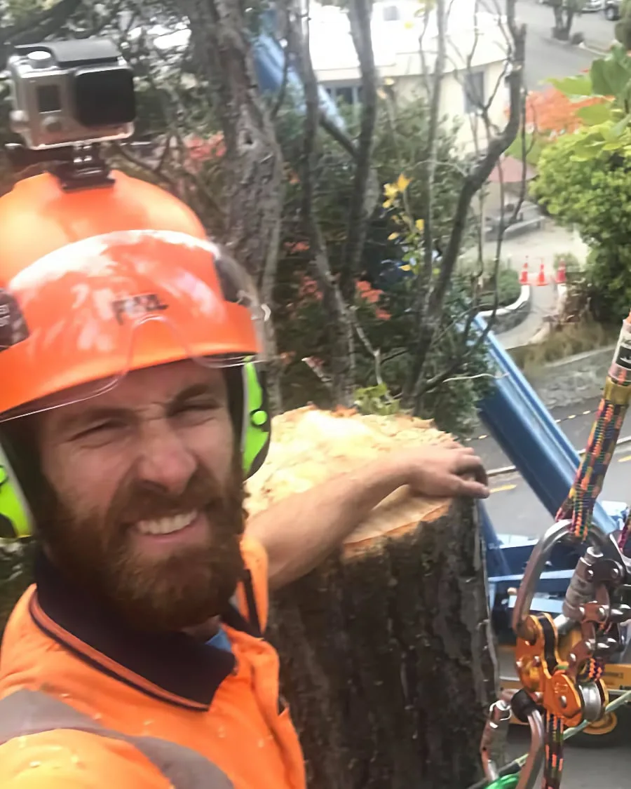 RoyalTree Ltd Jimmy - Royal Tree local Queenstown Arborist Tree Services