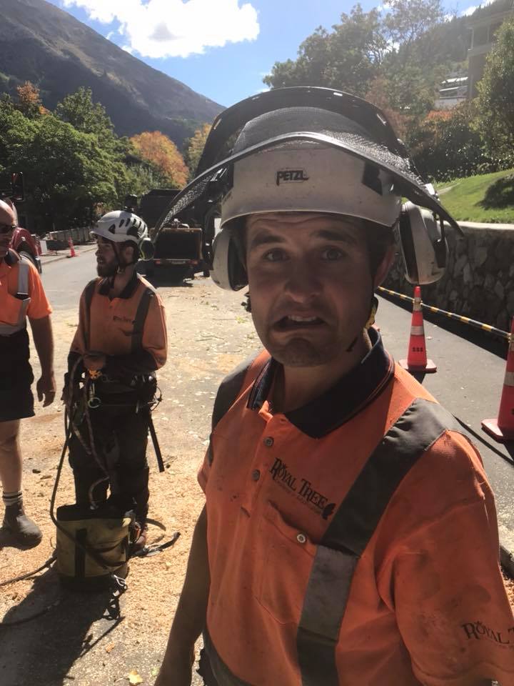 RoyalTree Ltd staff 4 - Royal Tree local Queenstown Arborist Tree Services