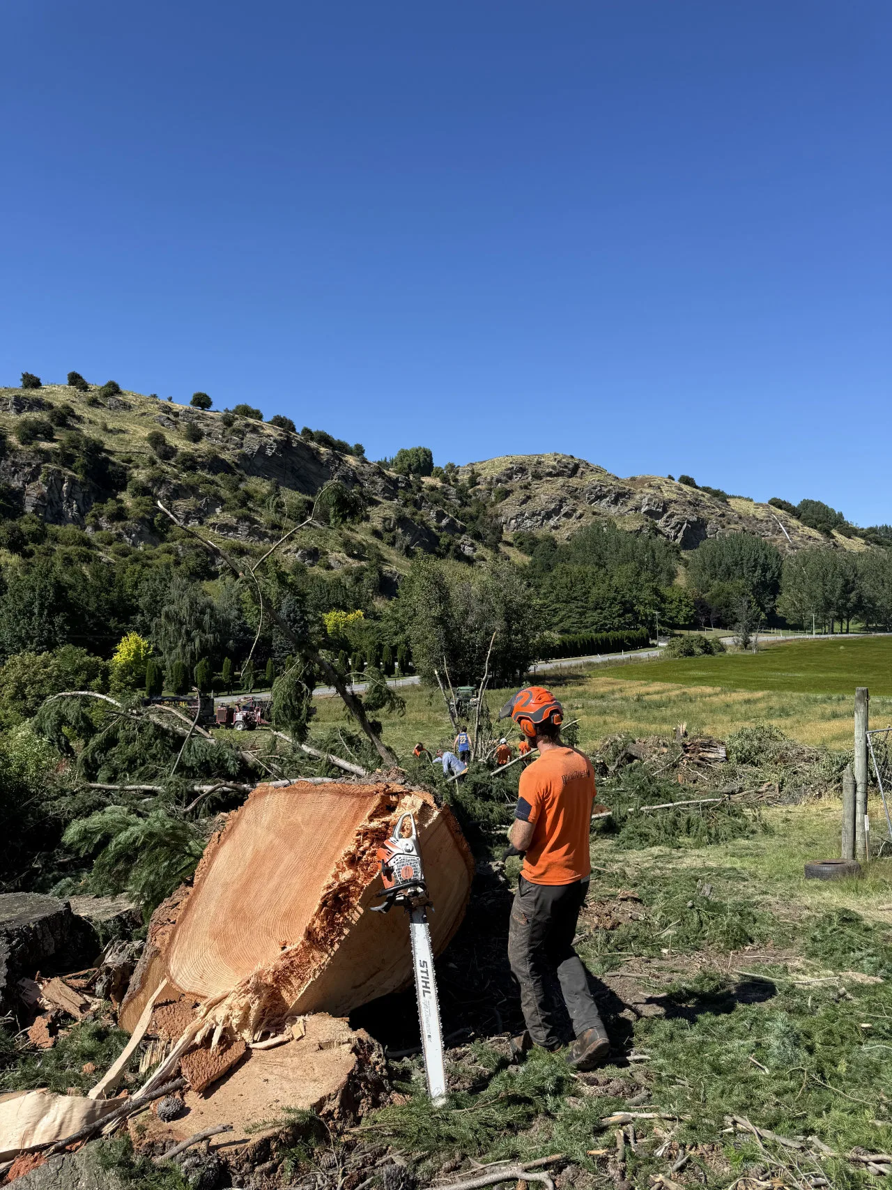 RoyalTree Queenstown Arborist 20 - Royal Tree local Queenstown Arborist Tree Services