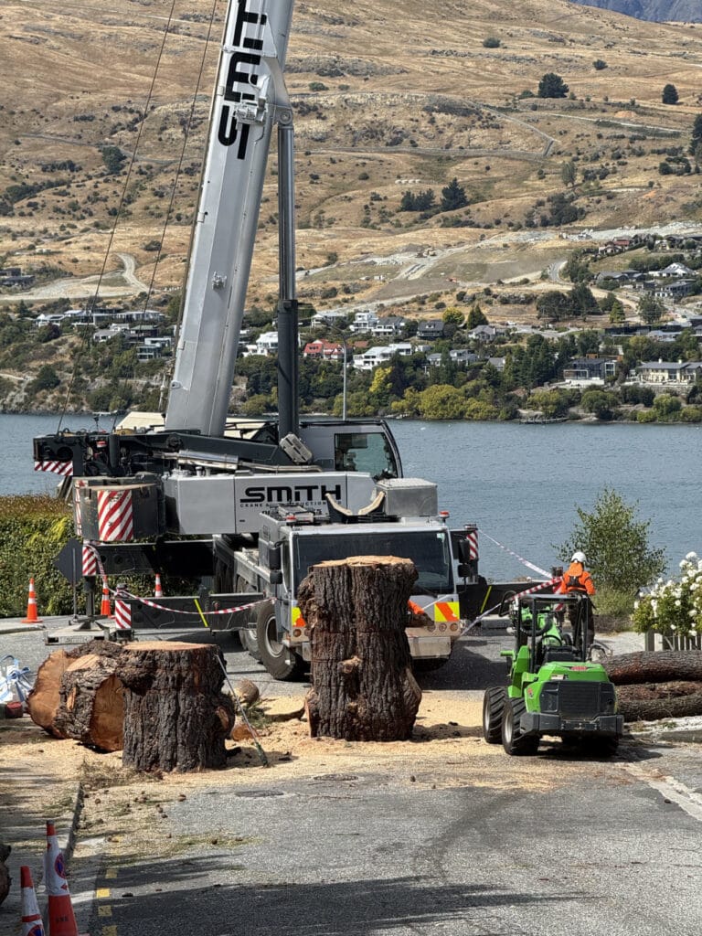 RoyalTree Queenstown Arborist-30