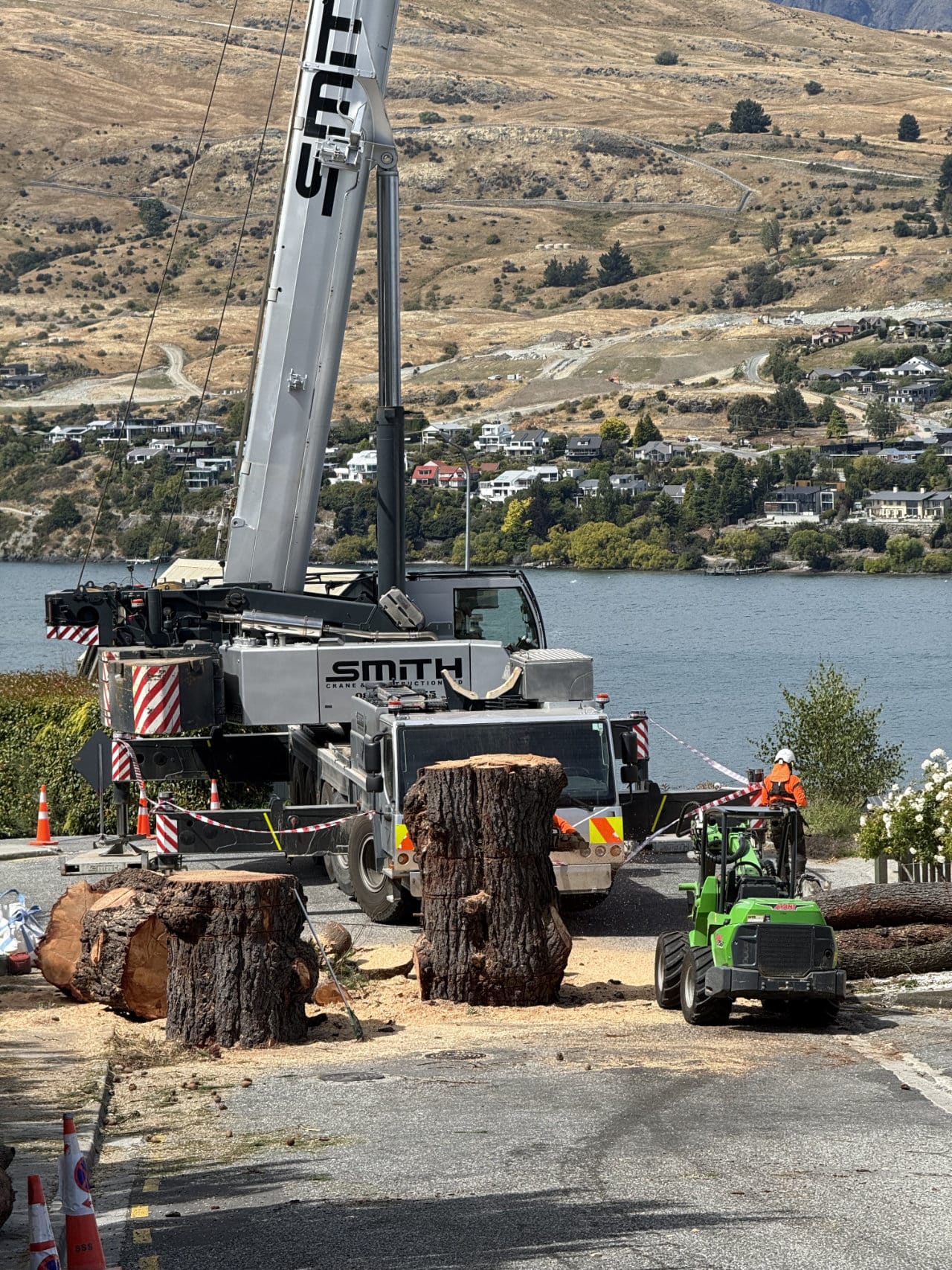 RoyalTree Queenstown Arborist 30 - Royal Tree local Queenstown Arborist Tree Services