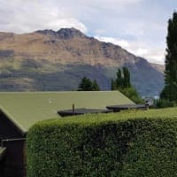 testimonial heidi 200 - Royal Tree local Queenstown Arborist Tree Services